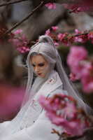 https://images.plurk.com/7EvTYm6bTvgKmCD2RFkeU3.jpg