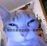 https://images.plurk.com/7F11fBRkbJxYHA9e4iPXvK.png