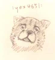 https://images.plurk.com/7F1UZFRLu8Z6X6aE8z07GG.jpg