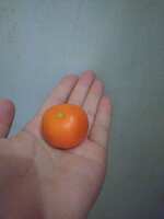 https://images.plurk.com/7F1XjUYT1CCdWoatklKkL7.jpg