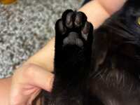 https://images.plurk.com/7F4UXy0vn1kmkKT214b4Rn.jpg