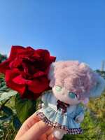 https://images.plurk.com/7FHF8yAozXvIKj80OROw6c.jpg