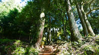 https://images.plurk.com/7FP77CbRkx8dFtnTIWXQ31.jpg