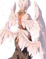 https://images.plurk.com/7FQ08TvOPV0NIfkKgE7vu6.png