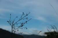 https://images.plurk.com/7FXWWJGsA1EWgZH3W4ybpD.jpg