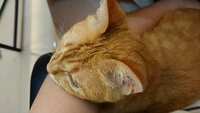 https://images.plurk.com/7FhbtGFqtI4kl8wKdO0Q0m.jpg