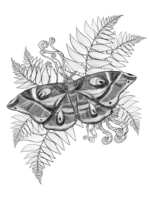 https://images.plurk.com/7FsG3UqppIVT3W8g1YEeoK.png