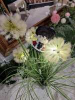 https://images.plurk.com/7FuwsSnyTnByCEP2jHoLAh.jpg
