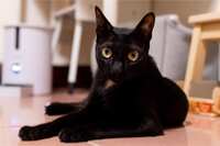 https://images.plurk.com/7G0sdEcG1ny6cayB1pHuVV.jpg