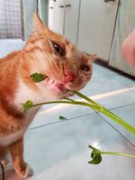 https://images.plurk.com/7G9ZI9Asmijpbm105aZe2e.jpg