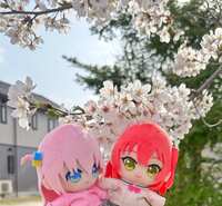 https://images.plurk.com/7GBxWRkdvpw9bCbDT7IieF.jpg