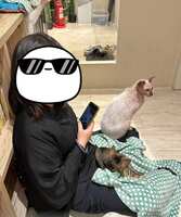 https://images.plurk.com/7GEvY7IbcVWxKsN9Bzk36o.jpg