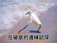 https://images.plurk.com/7GMgcVKRWxKDpIy8MEuTQb.jpg