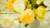 https://images.plurk.com/7GMpk0jFVeYsRBcb8T4mDC.jpg