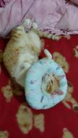 https://images.plurk.com/7GNmhhh7VJaZyUh92bxfNZ.jpg