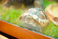 https://images.plurk.com/7GNtI2yKRZRxnFiUzObz75.jpg