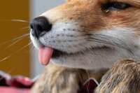 https://images.plurk.com/7GYxnpaKFcVtqEvgccgojb.jpg