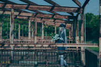 https://images.plurk.com/7Gb6ux46503jD9sP8iKmBh.jpg
