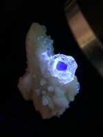 https://images.plurk.com/7GjQeVefdEo7WAHJPQ9RR6.jpg
