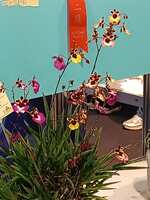 https://images.plurk.com/7Glp589PcLFsdB4xuGayWP.jpg