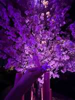 https://images.plurk.com/7Gu0nhkI5L3ZfpeVM5tfv1.jpg