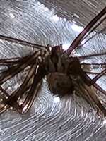 https://images.plurk.com/7GvikVK3vWGRL96pq7YEGt.jpg