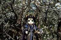https://images.plurk.com/7H65wVk4IeNlRKnYXzUs4M.jpg