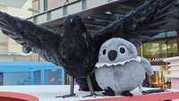 https://images.plurk.com/7HAOLMu83FABrv624m1IAd.jpg