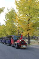 https://images.plurk.com/7HAneOoEyLvcIhnbcU7OJd.jpg