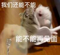 https://images.plurk.com/7HHaSXbsrALHdsE6iM7UIN.jpg