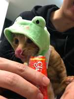 https://images.plurk.com/7HLSicXkpaDJRz8r0ocPck.jpg