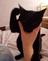 https://images.plurk.com/7HQWxj3naK8vpu2W6XZLDv.jpg