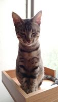 https://images.plurk.com/7HWdR1AQUUsu14lJJ5AJKT.jpg