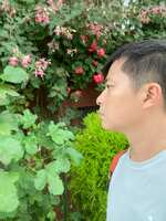 https://images.plurk.com/7HYctjG7p9l2PnHGvLaUA3.jpg