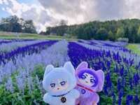 https://images.plurk.com/7Hfe3SWq7JsxpWbNwpz706.jpg