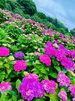https://images.plurk.com/7HnwjqhiHGns2g91Hcjsa2.jpg