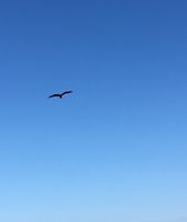 https://images.plurk.com/7Hq6o4JcUy37NNRRs2fqL5.jpg
