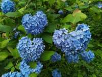 https://images.plurk.com/7HqO0Oqlf4nLEWWTj597Ev.jpg