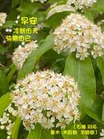 https://images.plurk.com/7Huz8icVkIirbNgTBJEkcT.jpg