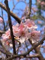 https://images.plurk.com/7HvTP4HlqAkrbBCbs1m0UC.jpg