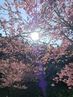 https://images.plurk.com/7Hw85fekdMfWzFzkJHdxUn.jpg