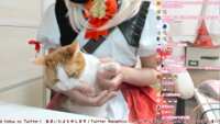 https://images.plurk.com/7Hyi52XVelkAA4A6eVieIR.png