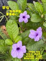 https://images.plurk.com/7IFhGFat5A5ainpGSgoUfm.jpg