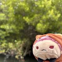 https://images.plurk.com/7IKkwUeqkwx3lLhNfqYUp8.jpg