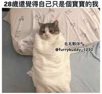 https://images.plurk.com/7IWcEyaX3HYaYmwAdMiLPr.jpg