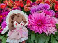 https://images.plurk.com/7IhkKsQbCWTcDLyBSEs5n2.jpg