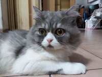 https://images.plurk.com/7Ii84pr7CHhtIDYVAQBH62.jpg