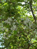 https://images.plurk.com/7IqeU3aYN6rkIfDjpo0Ooi.jpg