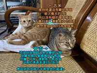 https://images.plurk.com/7IuqJp5VGgte6FpGSPgEWd.jpg