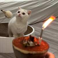 https://images.plurk.com/7J0GW8uSSzq7Jq8yF5cFs8.jpg